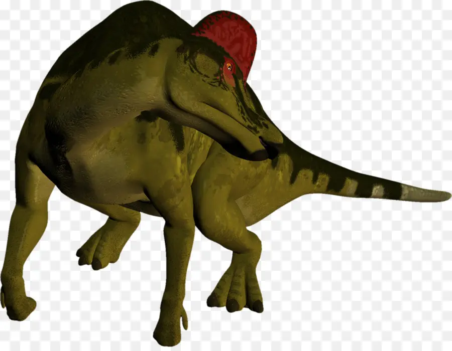 Dinosaurio，Prehistórico PNG