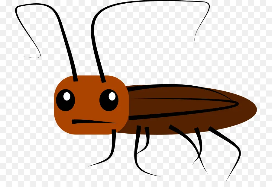 Cucaracha，Bicho PNG