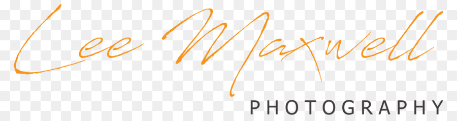 La Fotografía，Logotipo PNG