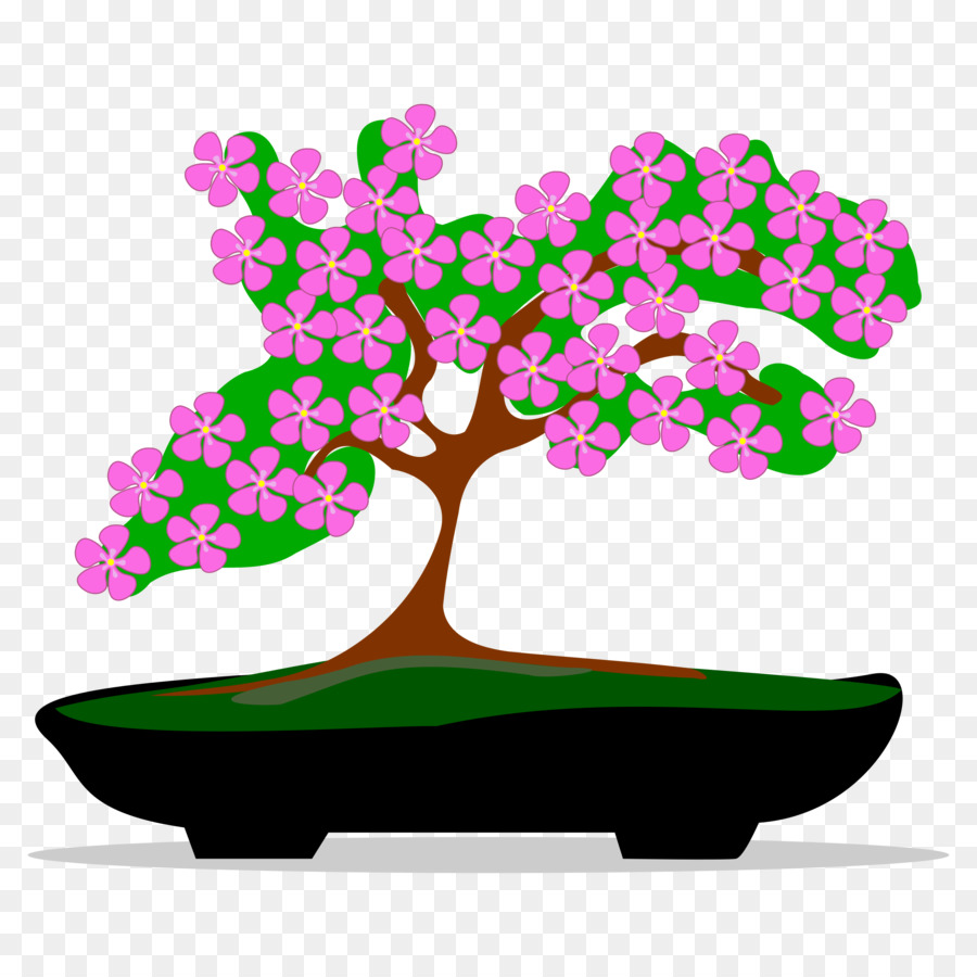 Bonsai，árbol PNG