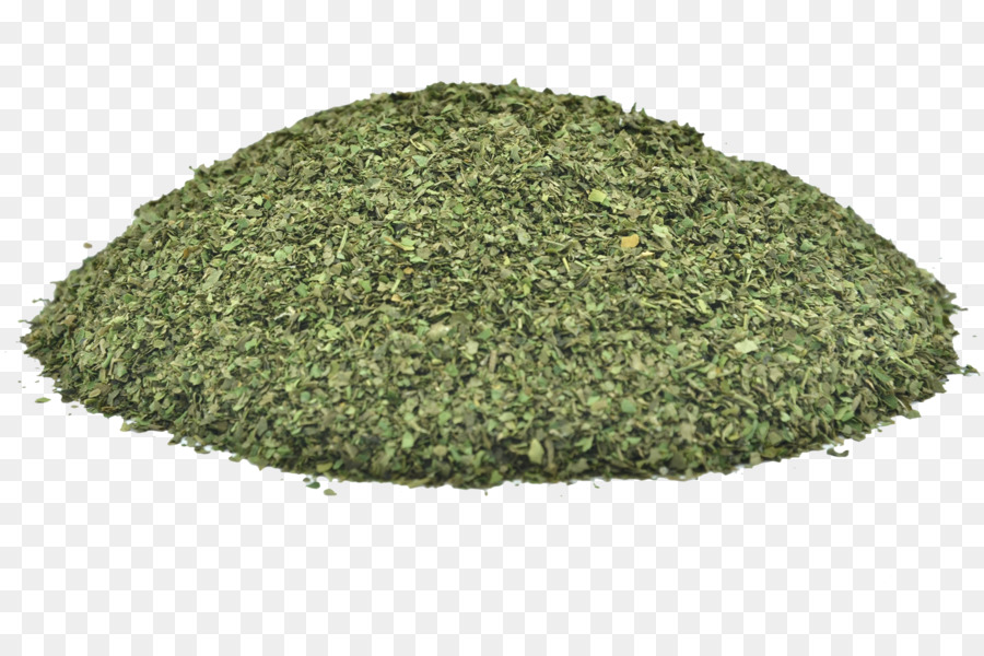 El árbol De Moringa，Hierba PNG