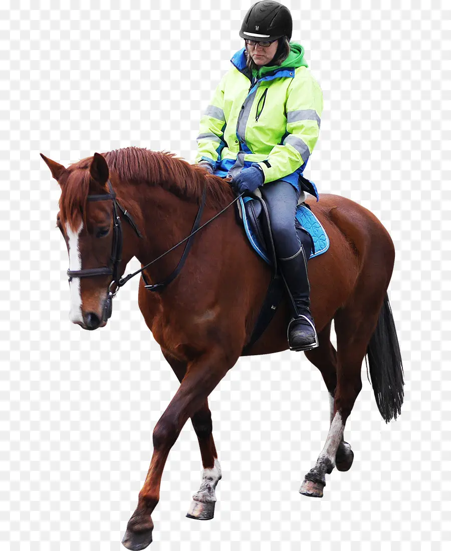 Caballo，El Caballo Y El Hombre PNG