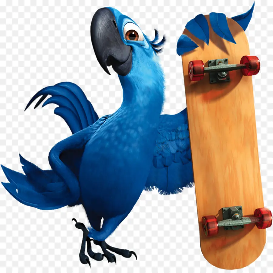 Loro Azul，Pájaro PNG