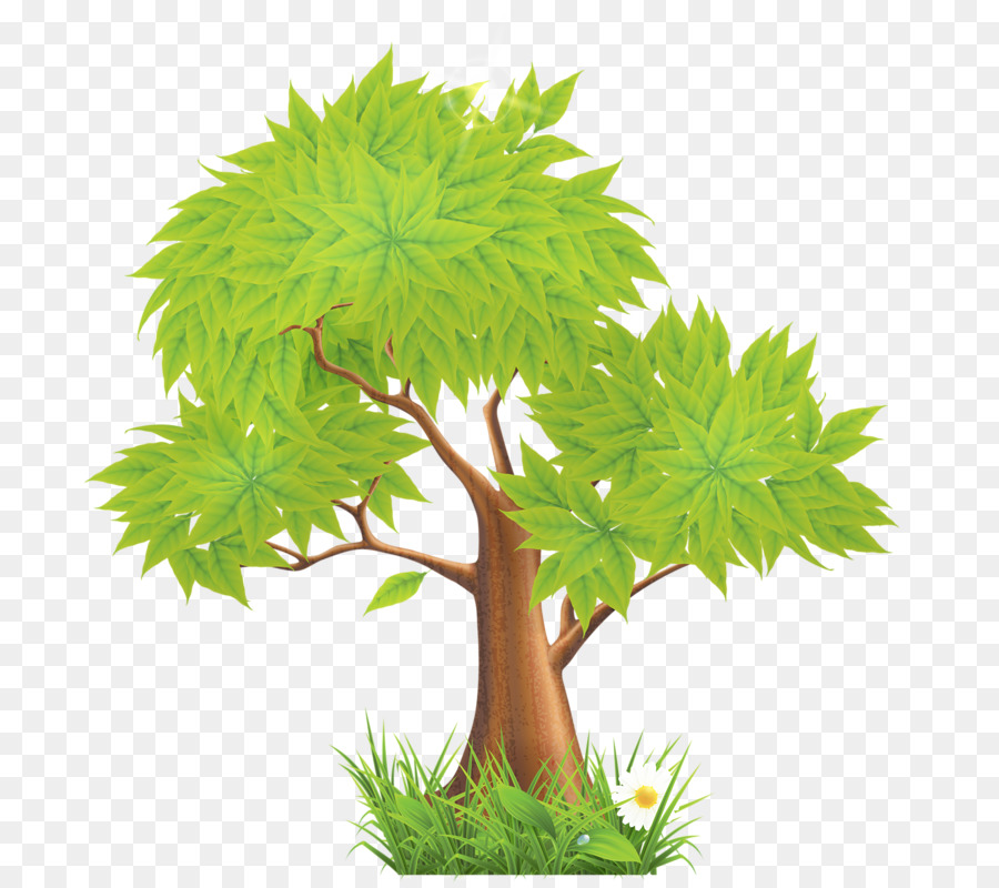 Árbol，Hojas PNG