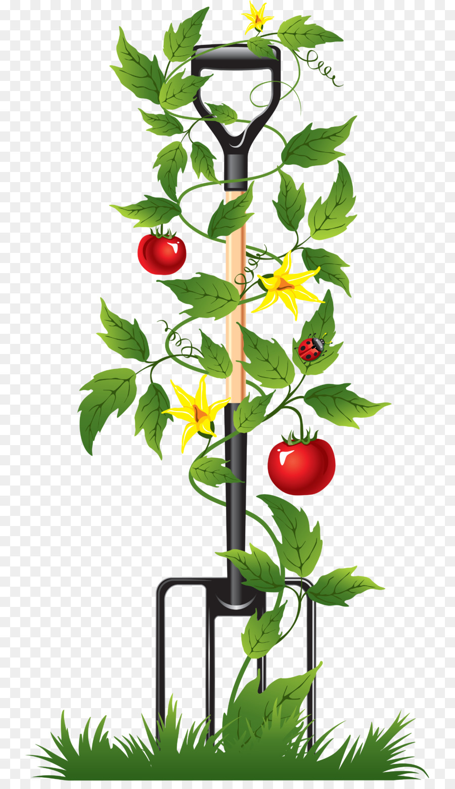 Tenedor De Jardín Con Planta De Tomate，Tomate PNG