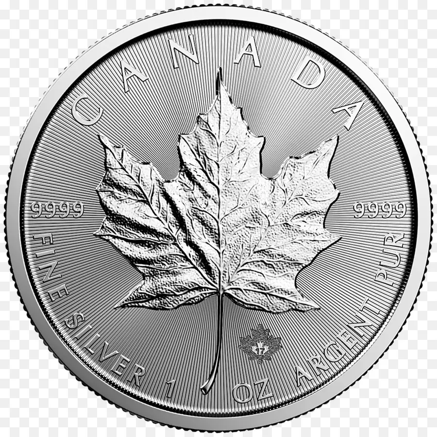 Canadá，Canadiense De Plata De La Hoja De Arce PNG