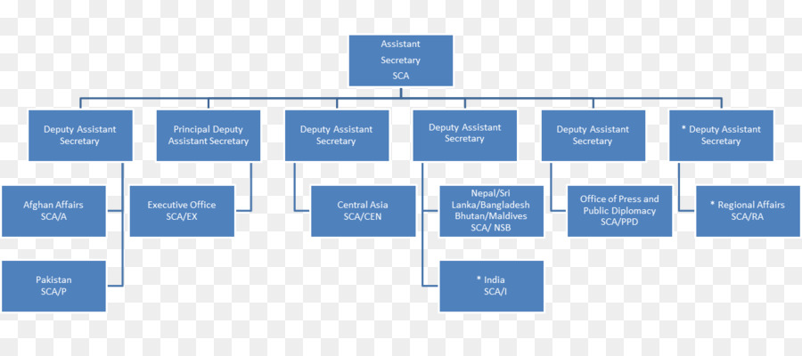 Organización，Gráfico PNG