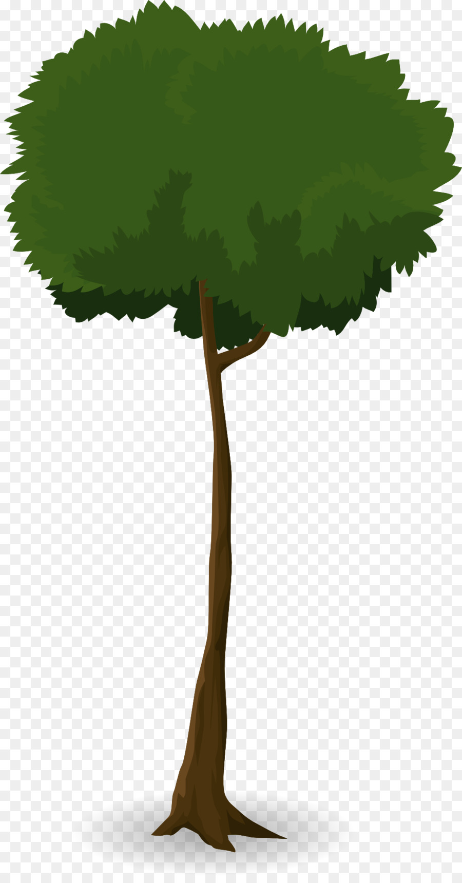 Árbol，Verde PNG