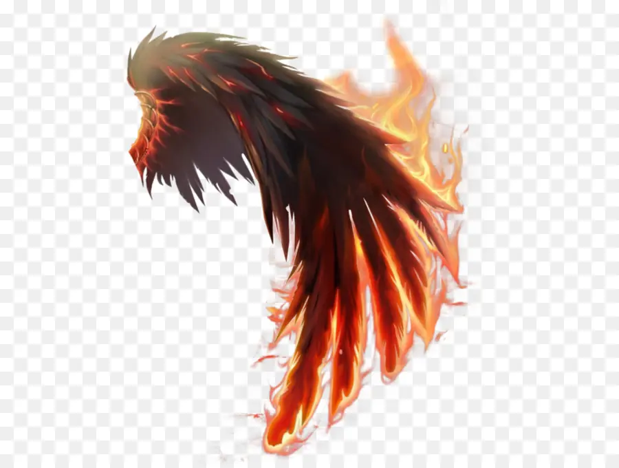 Alas De Fuego，Iconos De Equipo PNG