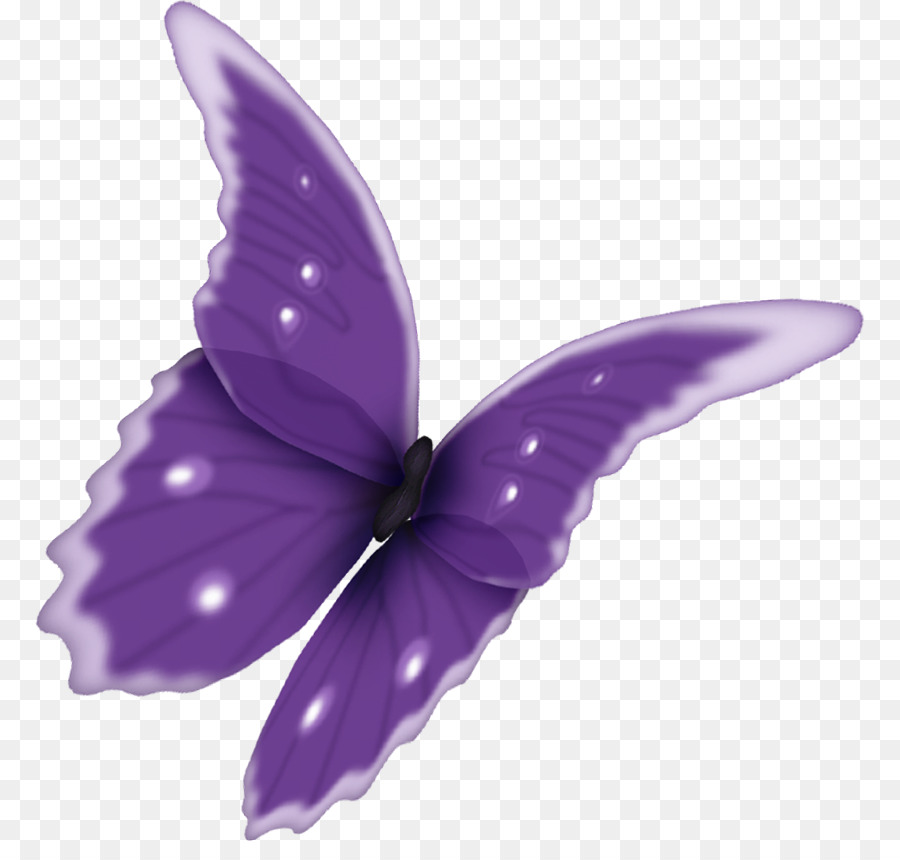 Mariposa，Photoscape PNG