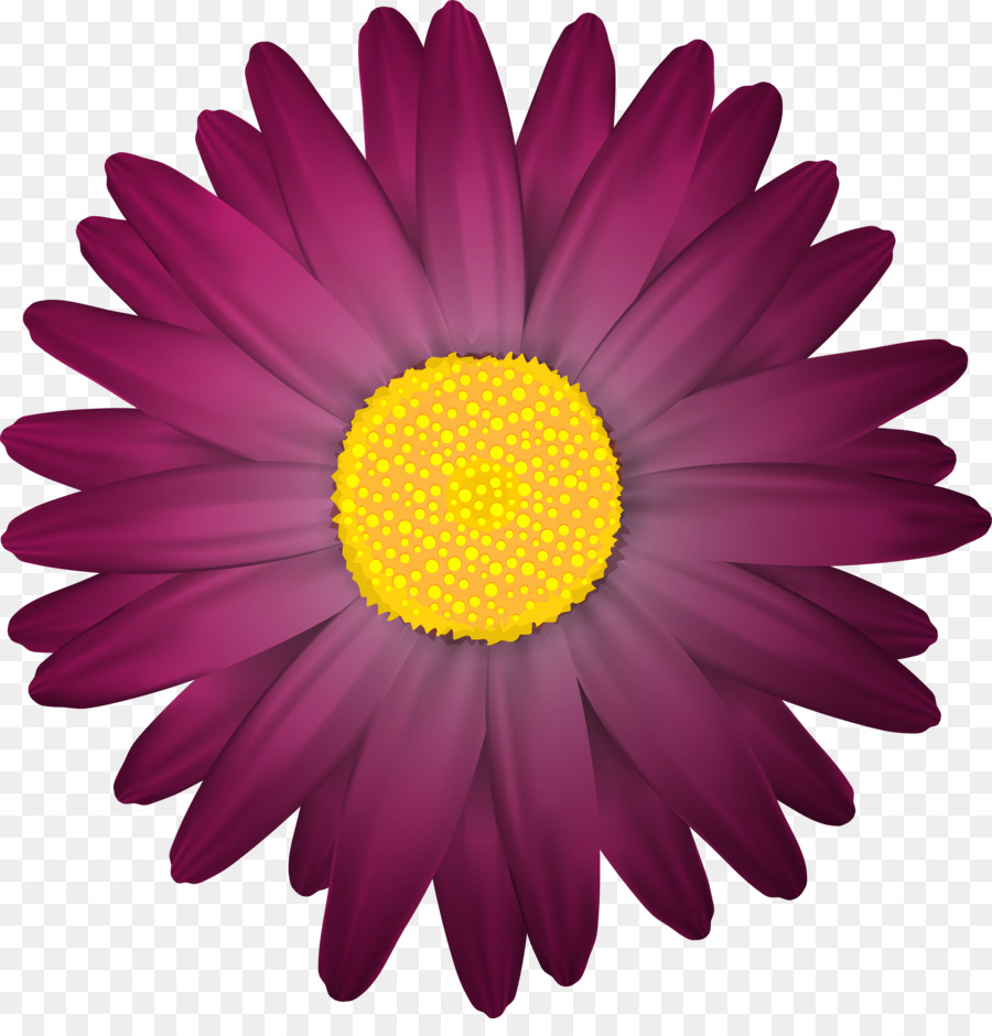 Flor Rosa，Florecer PNG