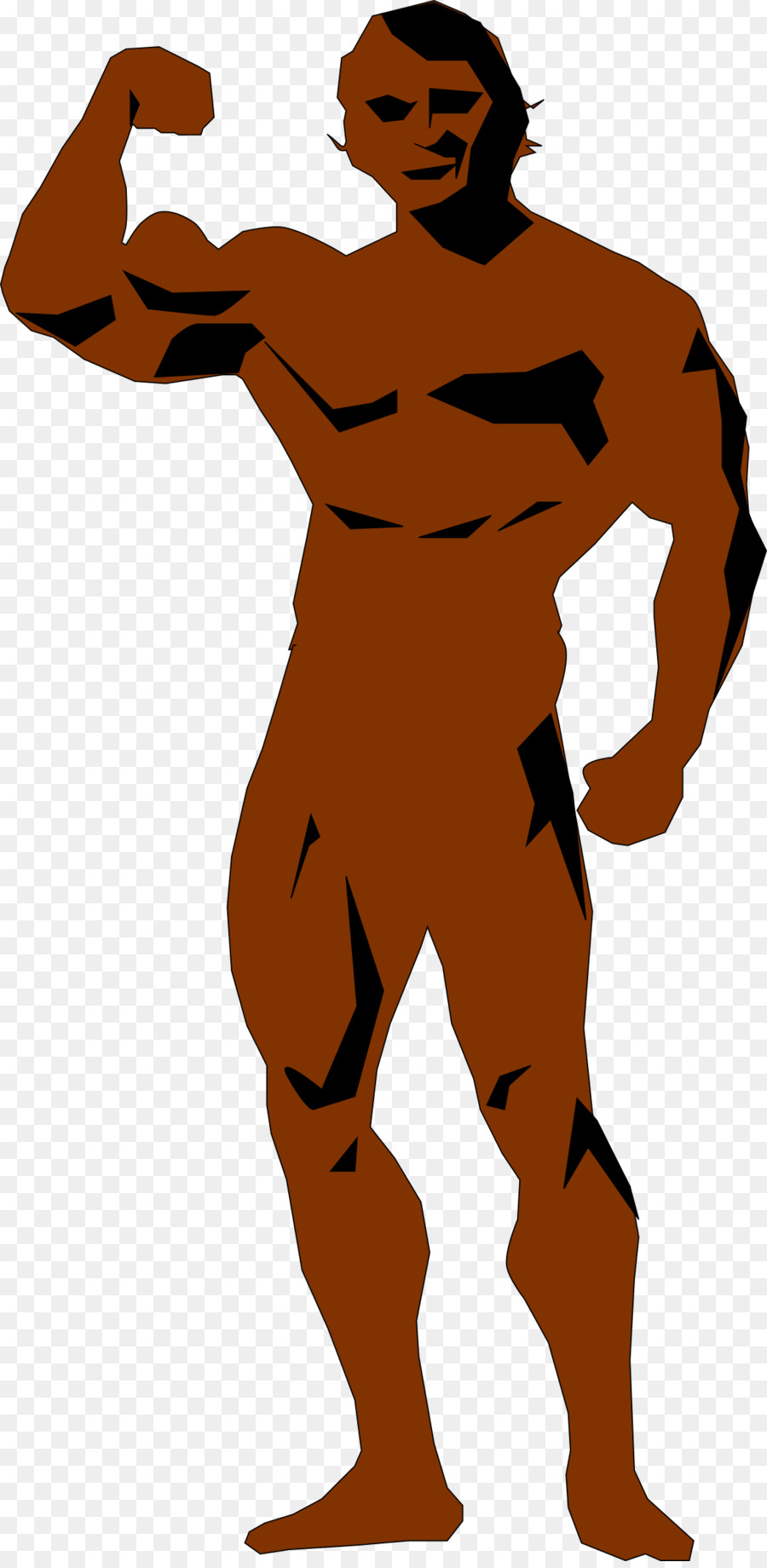 Carrocero，Musculatura PNG