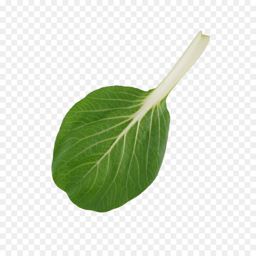 Bok Choi，Frondoso PNG