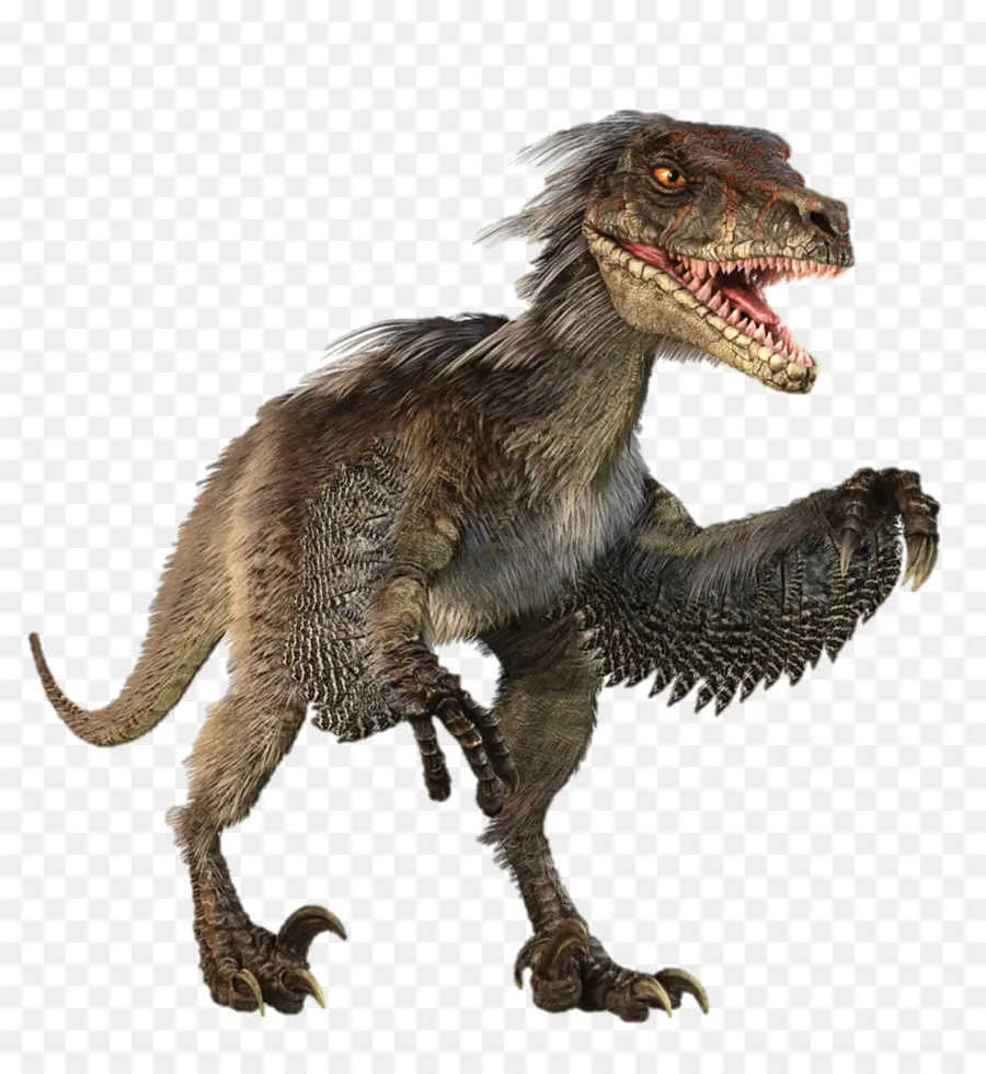 Velociraptor，Tyrannosaurus PNG