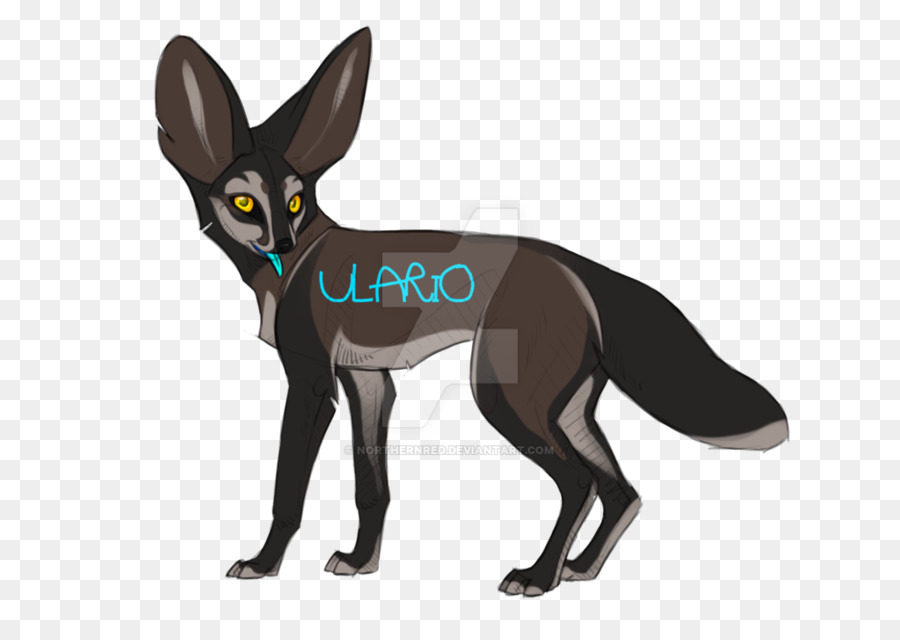 Perro，Felidae PNG