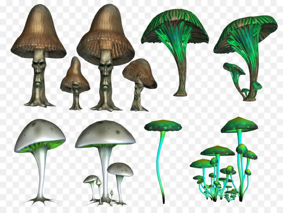 Setas De Fantasía，Verde PNG