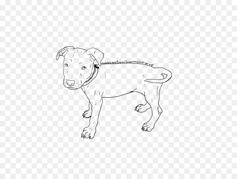 Pit Bull，American Pit Bull Terrier PNG