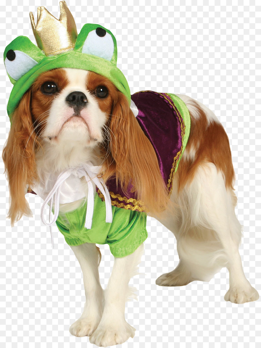 Perro，Ropa PNG