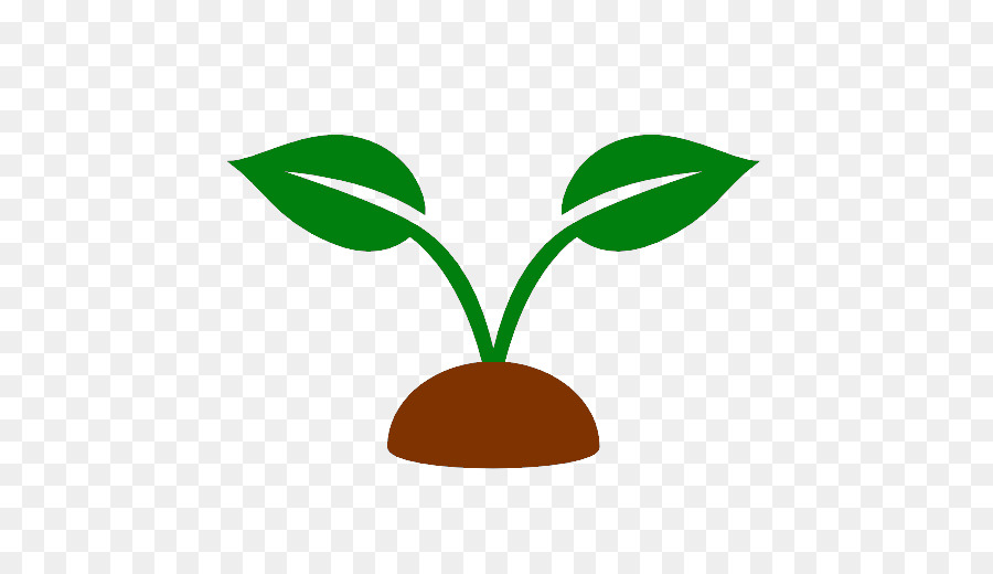 Planta，Hojas PNG