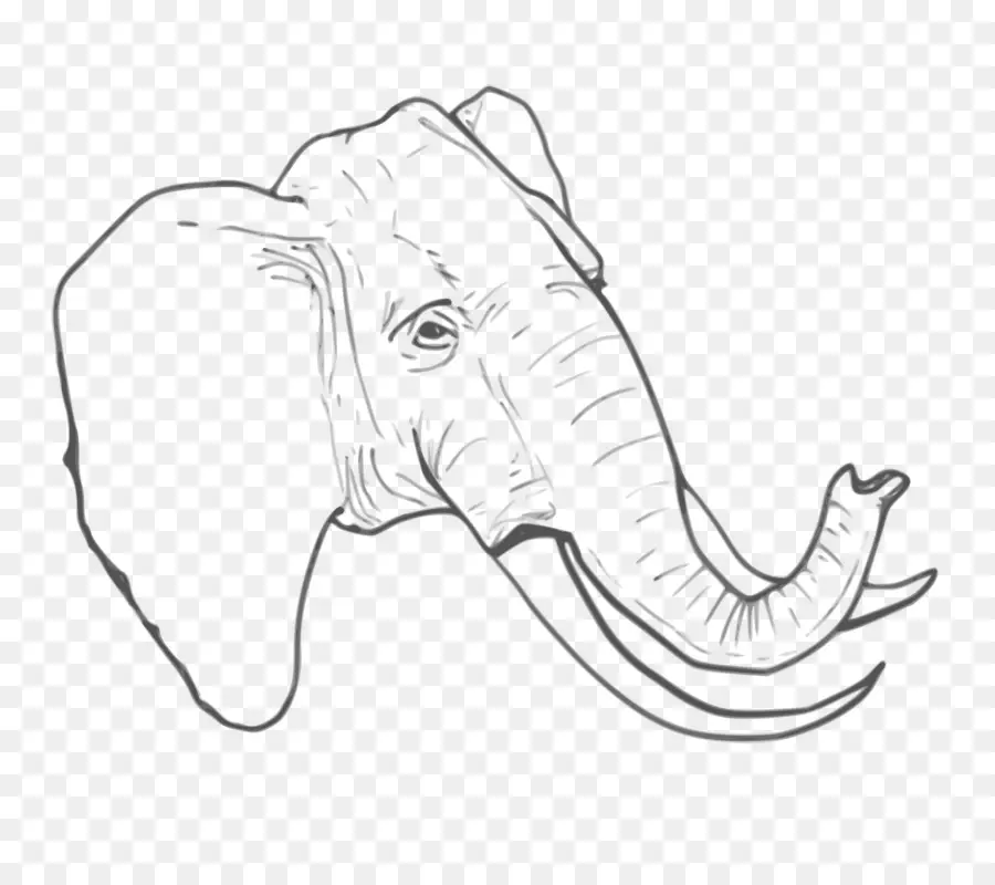 Elefante，Fauna PNG