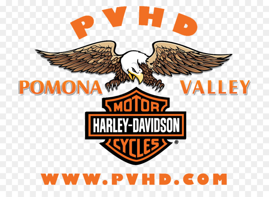 Logotipo De Harley Davidson，águila PNG