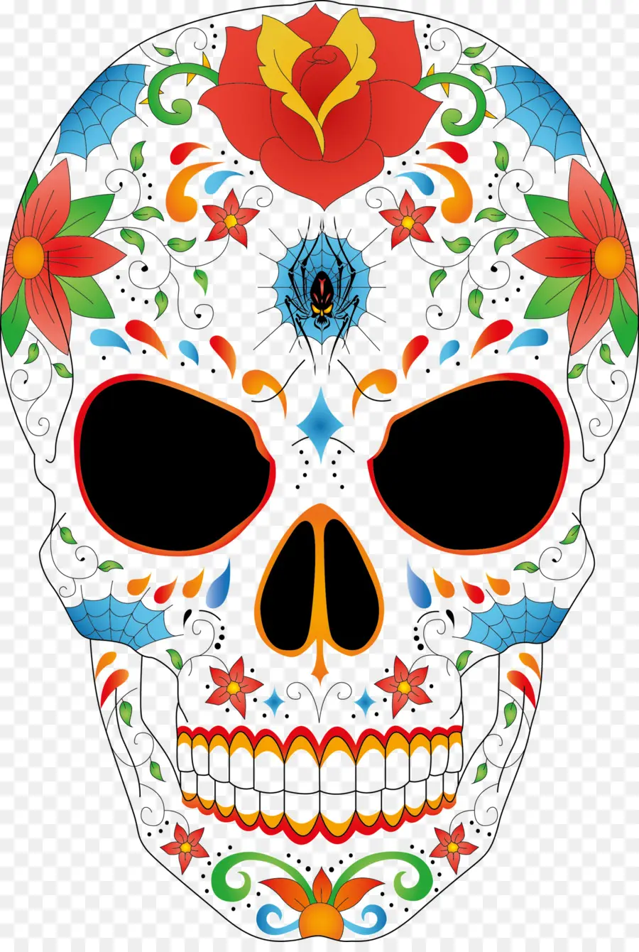 Calavera，Cráneo PNG