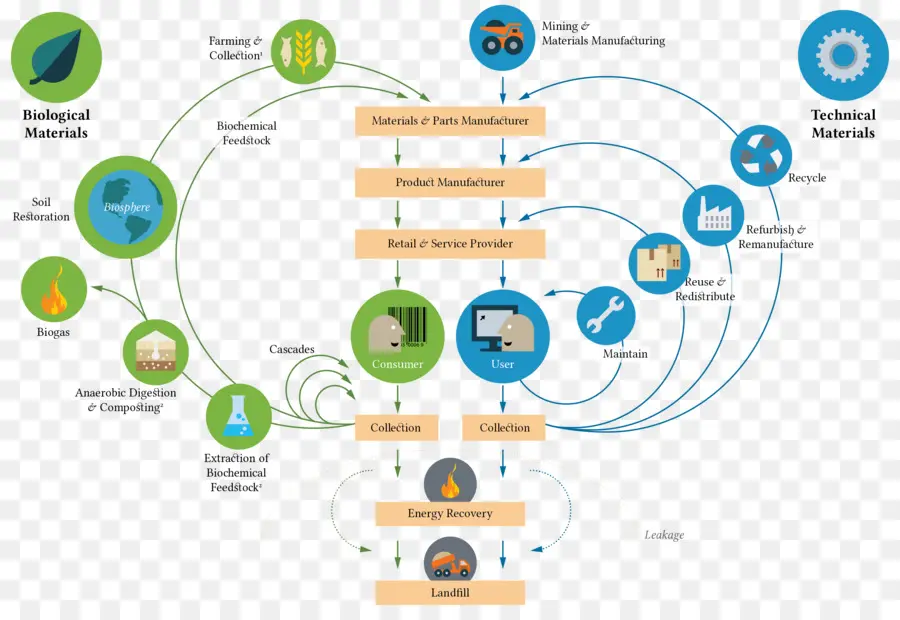 Economía Circular，Economía PNG