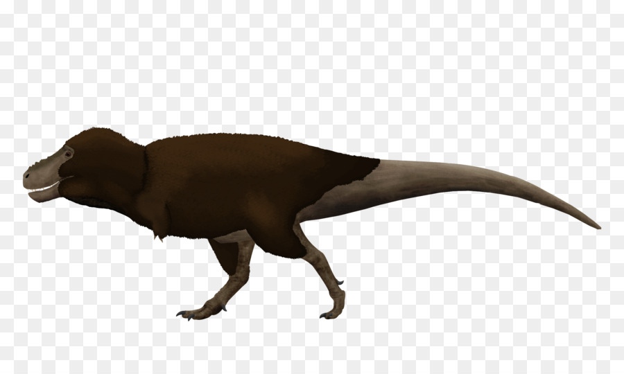 Saurio，Tyrannosaurus PNG