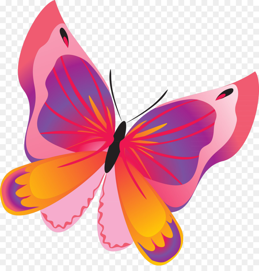 Las Mariposas Y Las Polillas，Los Hermanos Grimm PNG