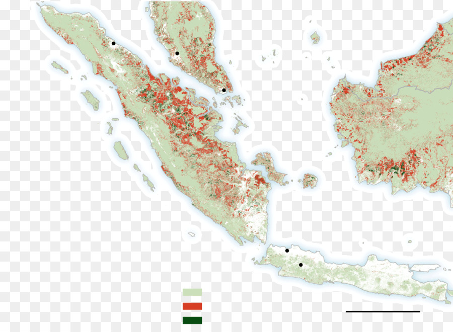 Las Islas Mentawai Regency，Shortheaded Roundleaf Bat PNG