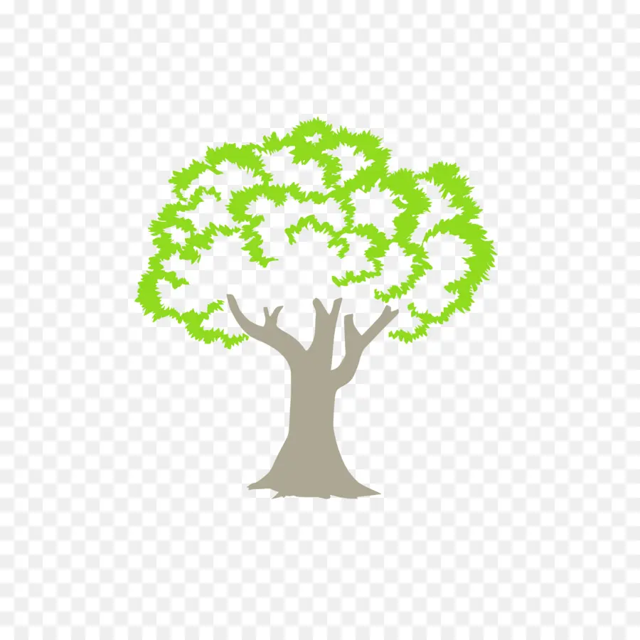 árbol，Logo PNG