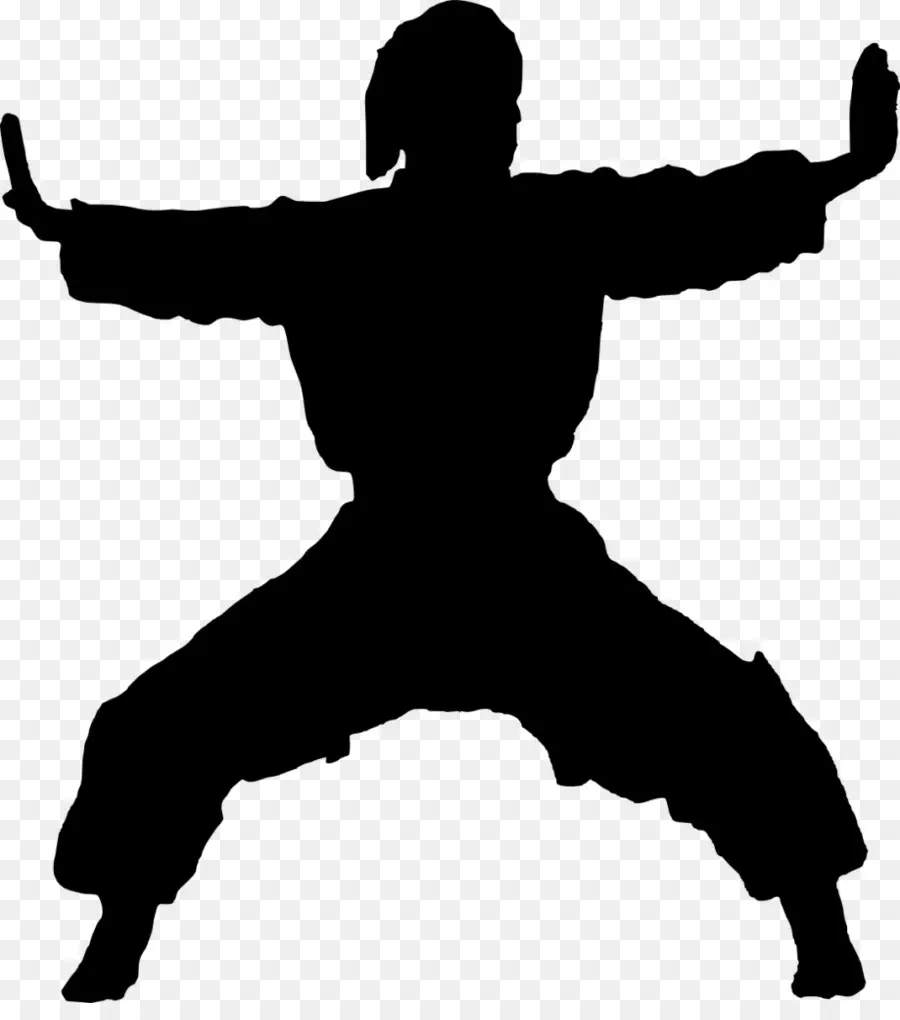 Karate，Silueta PNG