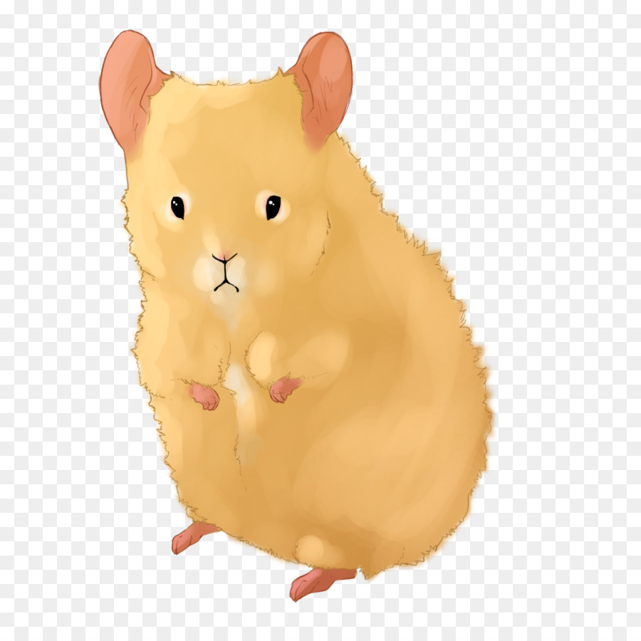 Lindo Raton，Ratón PNG