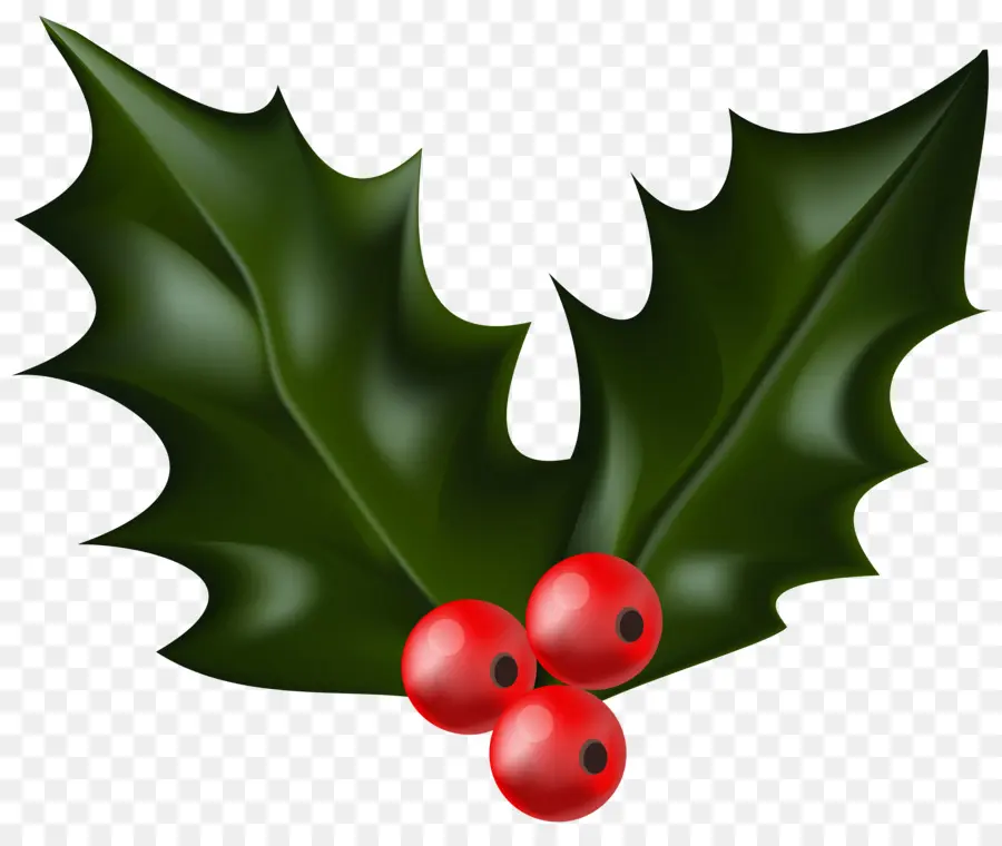 Común Holly，La Navidad PNG