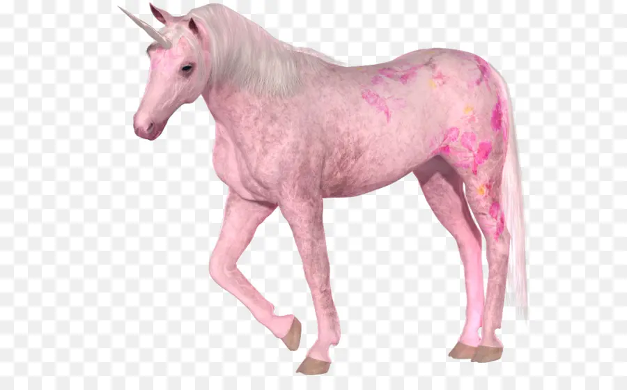 Unicornio，Invisible Unicornio Rosa PNG