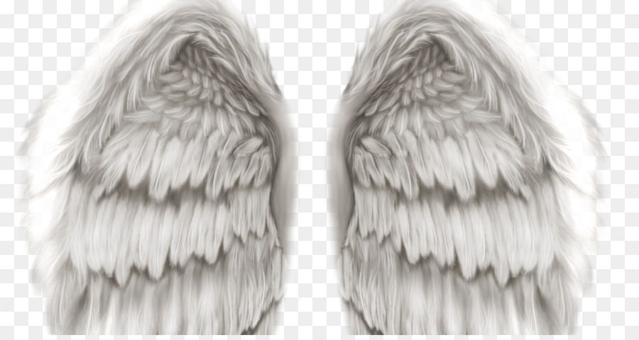 Alas De Angel，Plumas PNG