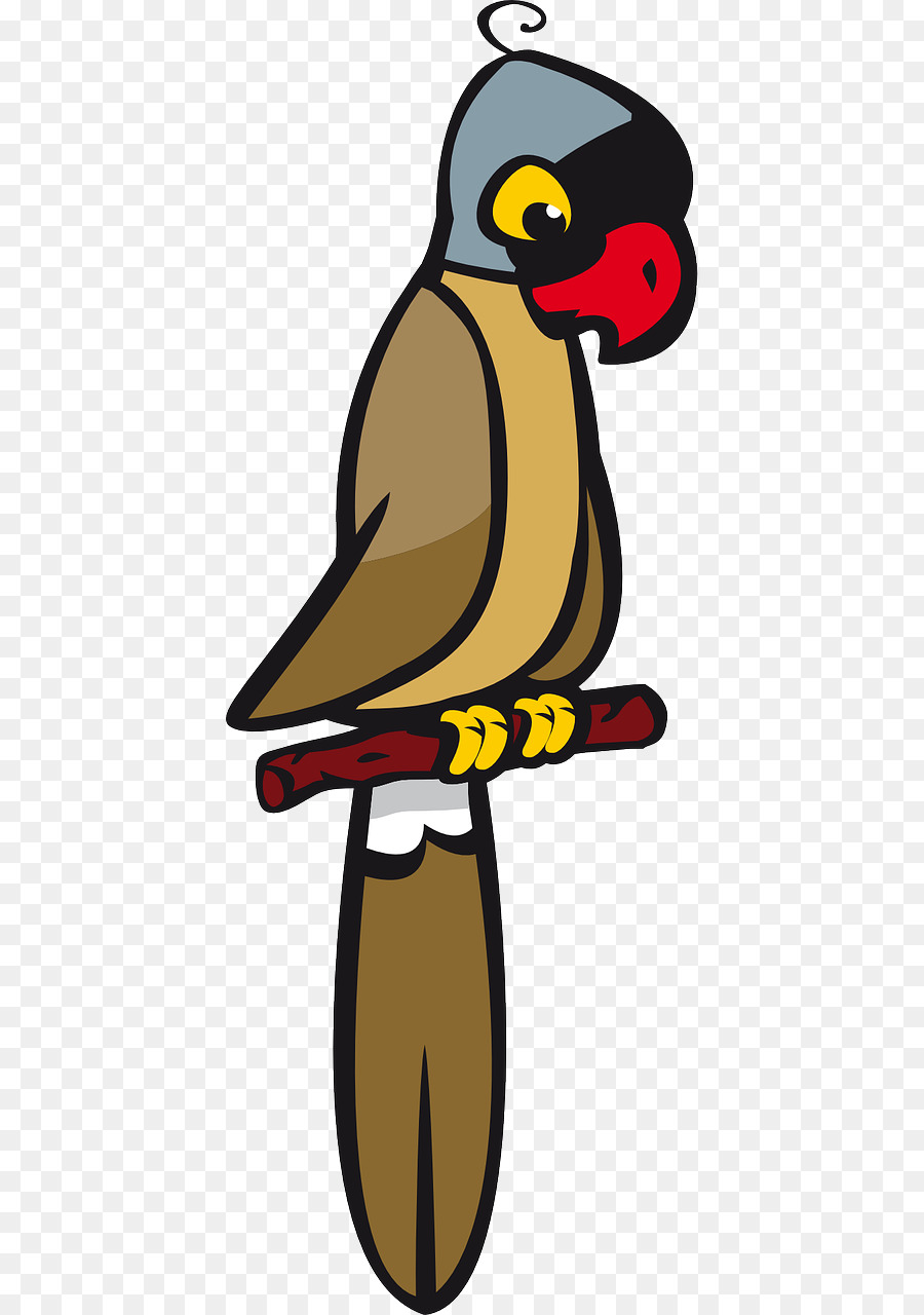 Parrot，Pájaro PNG