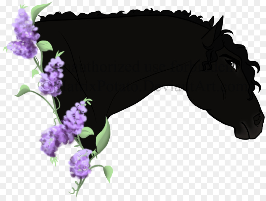 Caballo，Wisteria PNG