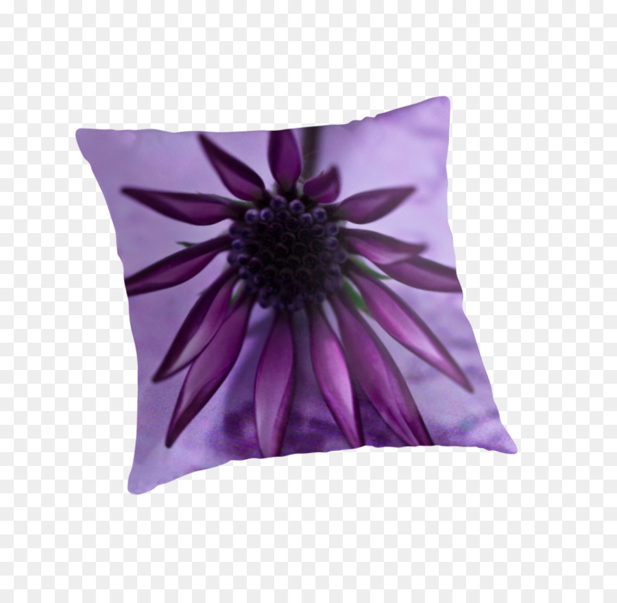 Púrpura，Violeta PNG