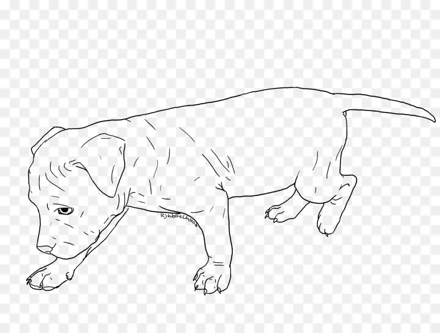 Pit Bull，American Pit Bull Terrier PNG