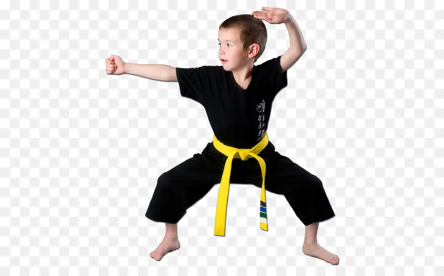 Kung Fu，Kuk Sool Won PNG