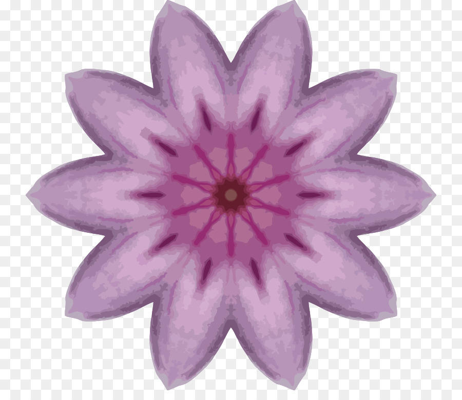 Flor Morada，Florecer PNG