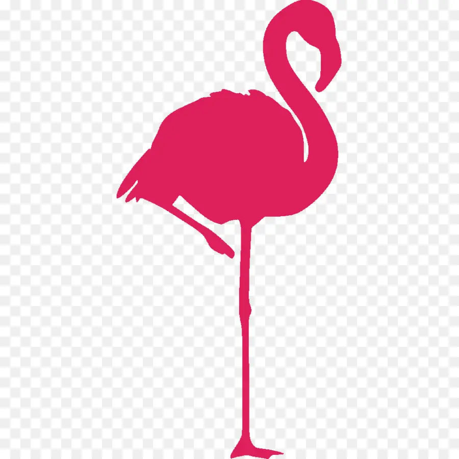 Flamenco，Flamingo PNG