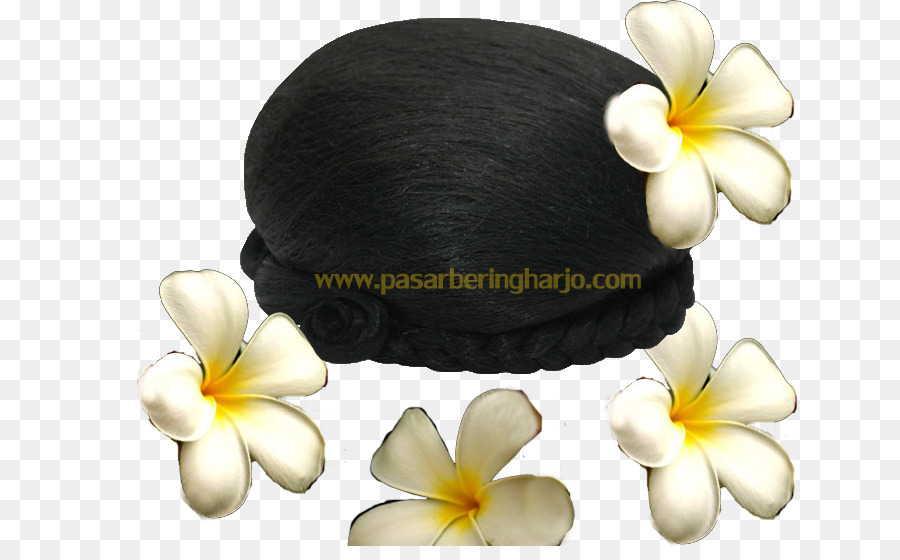 Cabello，Peinado PNG