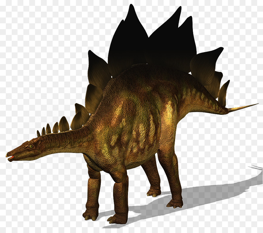 Arca De Supervivencia Evolucionado，Stegosaurus PNG