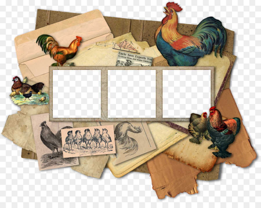 Collage De Gallo，Antiguo PNG