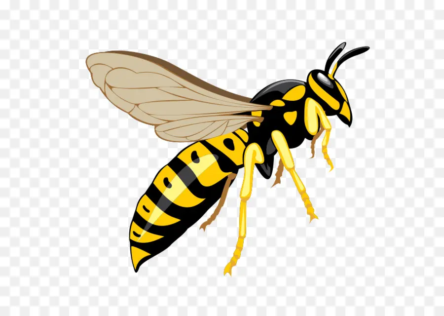 Hornet，Abeja PNG