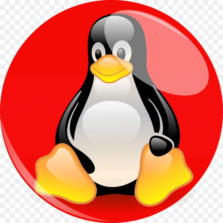 Pingüino，Dibujos Animados PNG