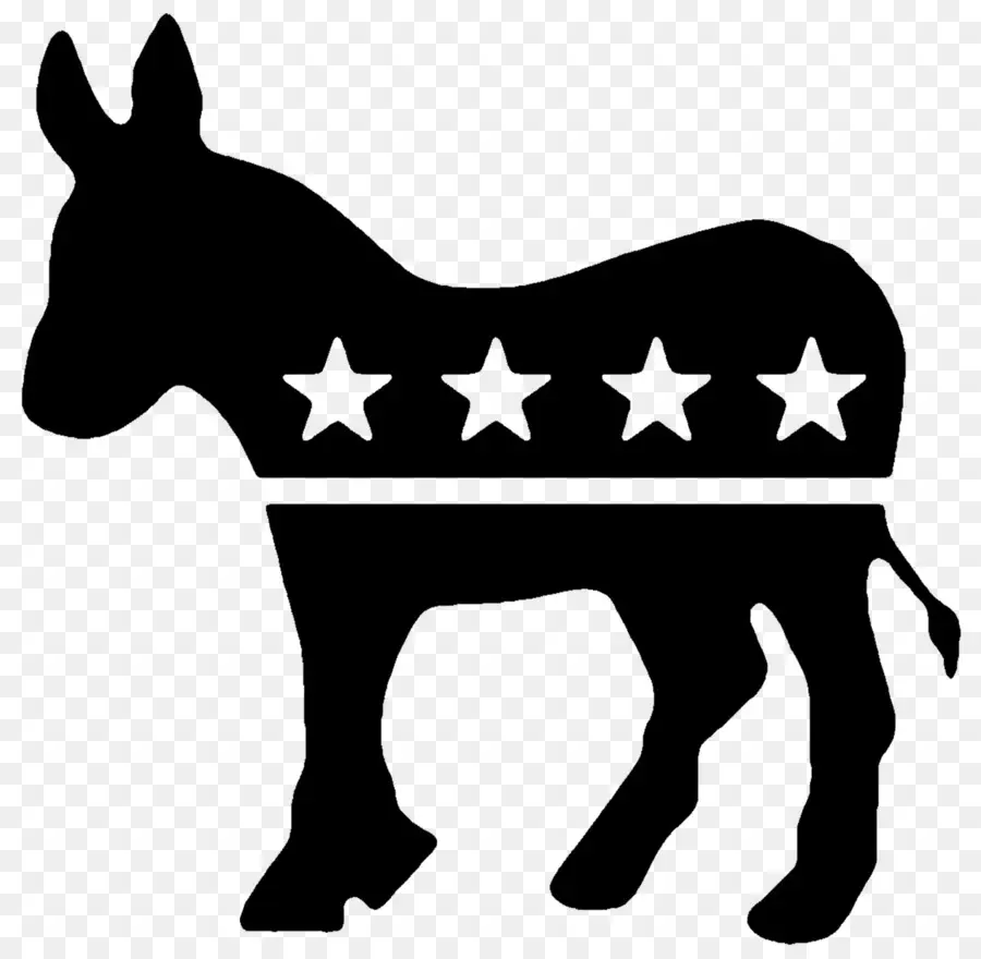 Burro，Estrellas PNG