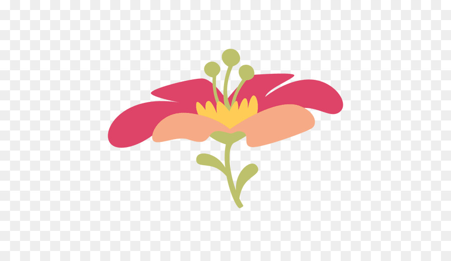 Flores Rosadas，Florecer PNG